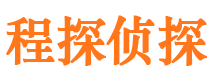 平阳侦探公司